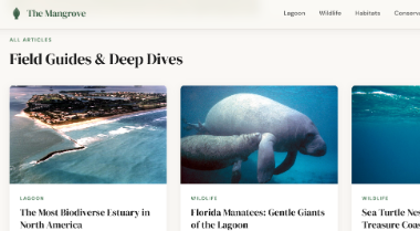 The Mangrove website